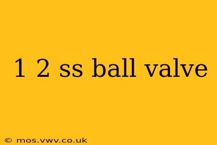 1 2 ss ball valve