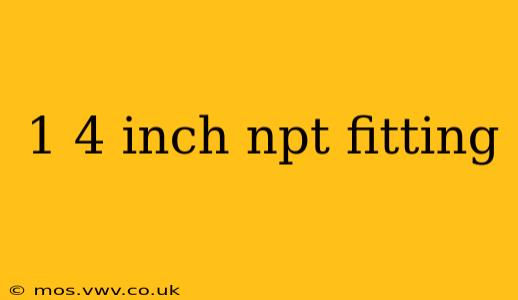 1 4 inch npt fitting