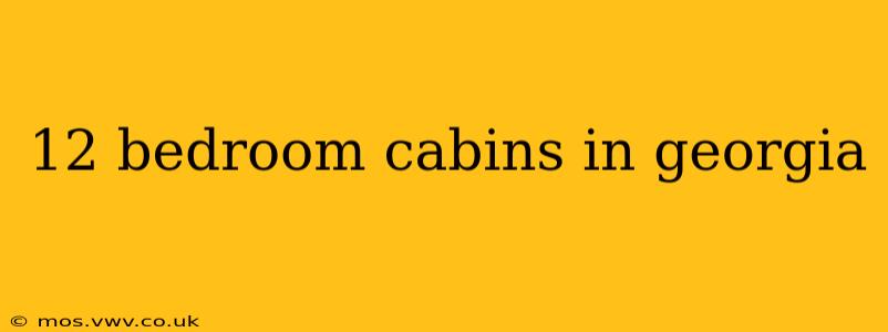 12 bedroom cabins in georgia