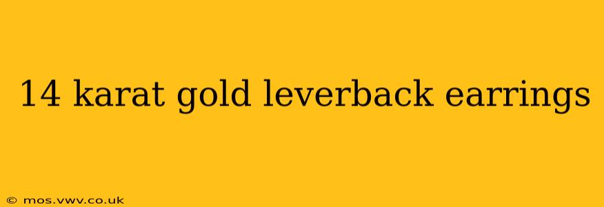 14 karat gold leverback earrings
