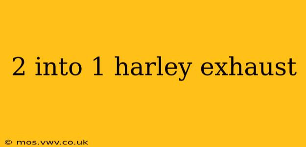 2 into 1 harley exhaust