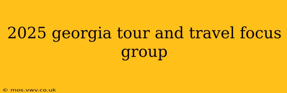 2025 georgia tour and travel focus group
