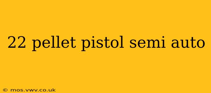 22 pellet pistol semi auto
