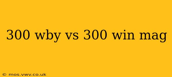 300 wby vs 300 win mag