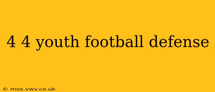 4 4 youth football defense
