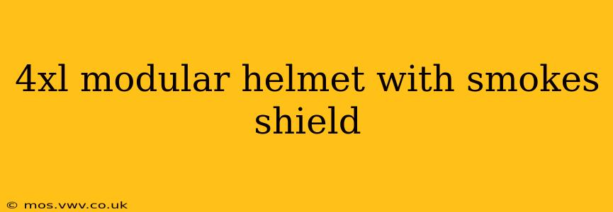 4xl modular helmet with smokes shield