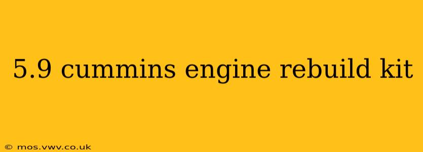 5.9 cummins engine rebuild kit