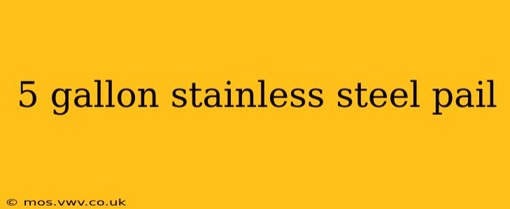 5 gallon stainless steel pail