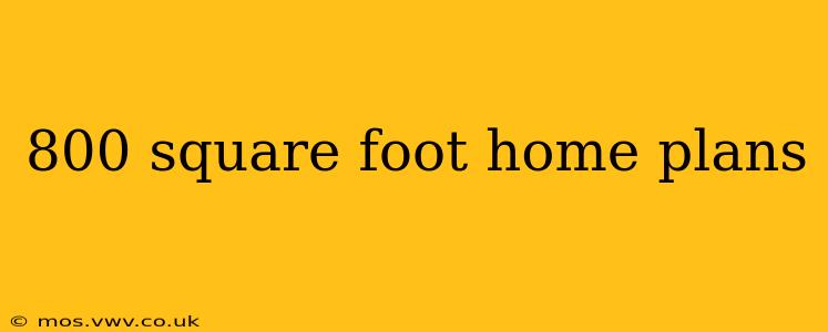 800 square foot home plans