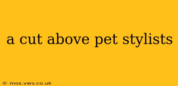 a cut above pet stylists