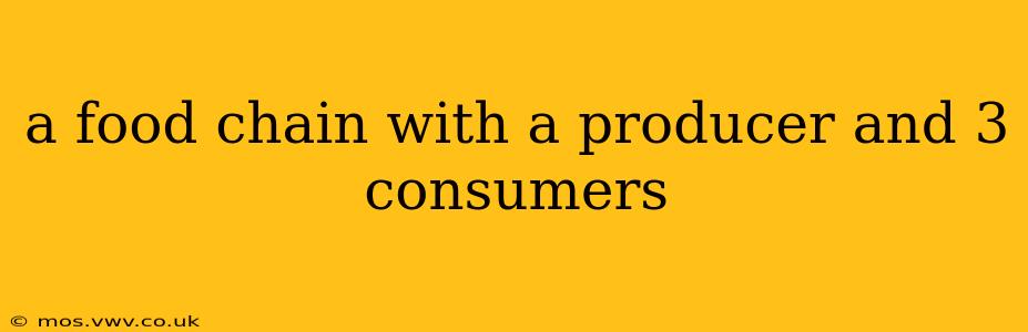 a food chain with a producer and 3 consumers