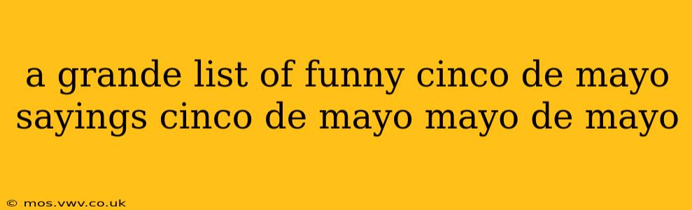 a grande list of funny cinco de mayo sayings cinco de mayo mayo de mayo
