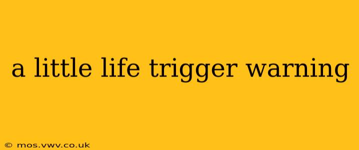a little life trigger warning