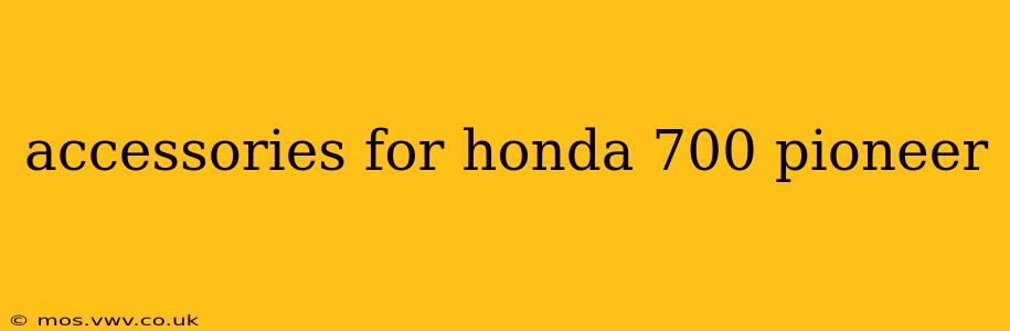 accessories for honda 700 pioneer