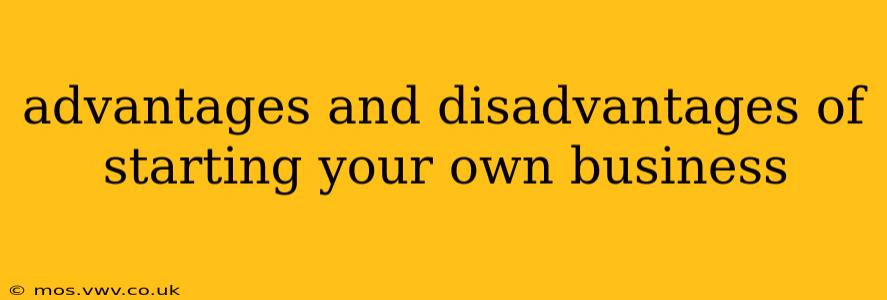 advantages and disadvantages of starting your own business