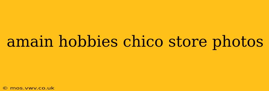 amain hobbies chico store photos