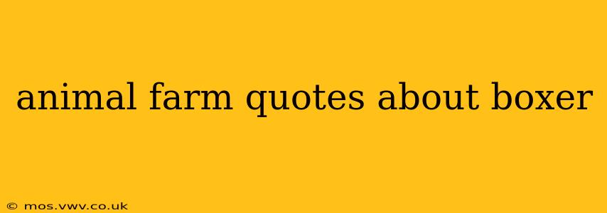 animal farm quotes about boxer