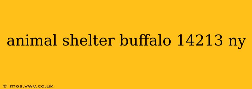 animal shelter buffalo 14213 ny