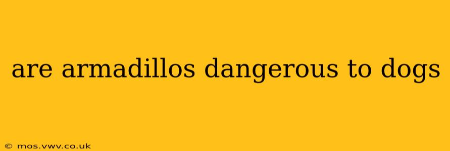 are armadillos dangerous to dogs