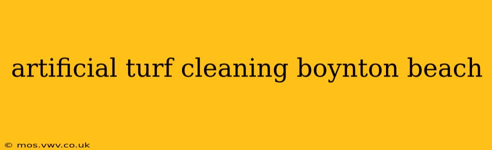 artificial turf cleaning boynton beach