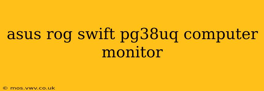 asus rog swift pg38uq computer monitor