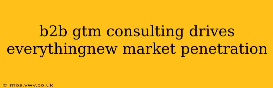 b2b gtm consulting drives everythingnew market penetration
