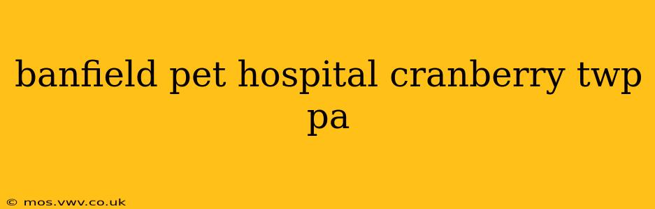 banfield pet hospital cranberry twp pa