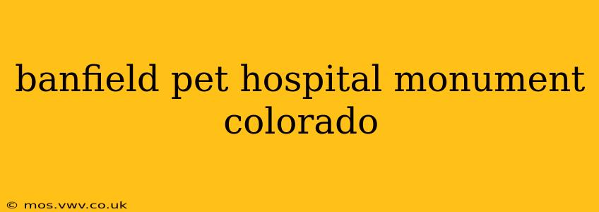 banfield pet hospital monument colorado