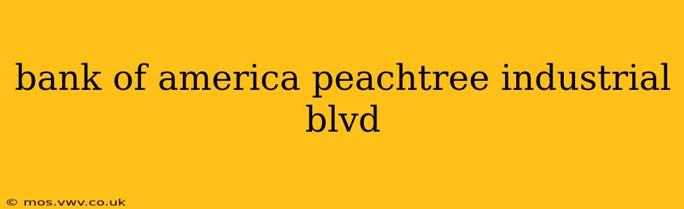 bank of america peachtree industrial blvd