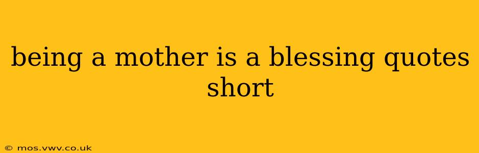being a mother is a blessing quotes short
