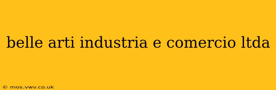 belle arti industria e comercio ltda