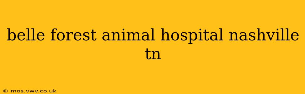 belle forest animal hospital nashville tn