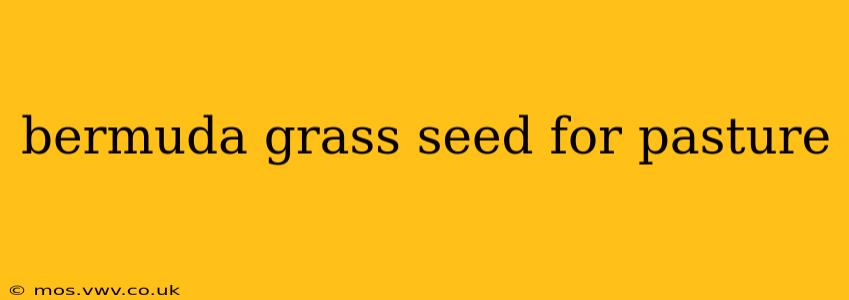 bermuda grass seed for pasture