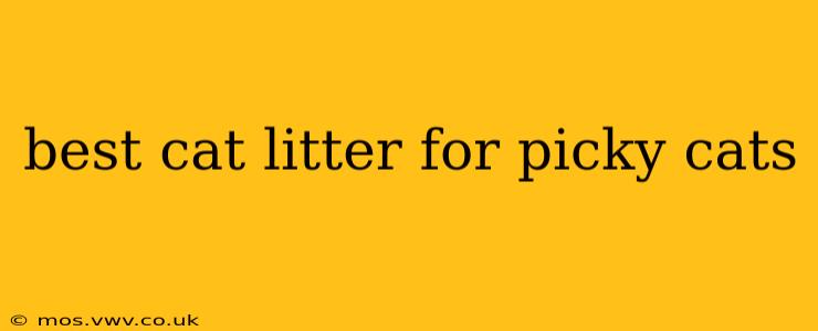 best cat litter for picky cats