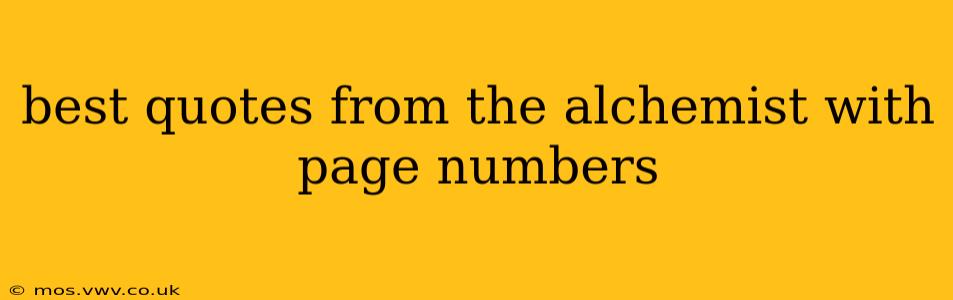 best quotes from the alchemist with page numbers