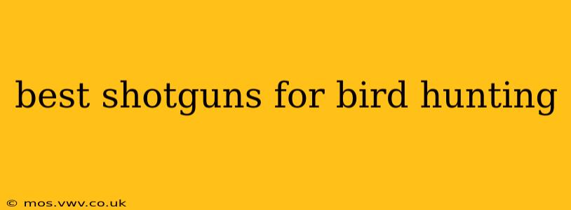 best shotguns for bird hunting