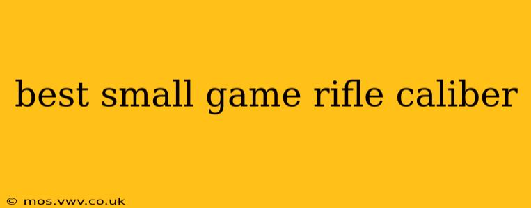 best small game rifle caliber