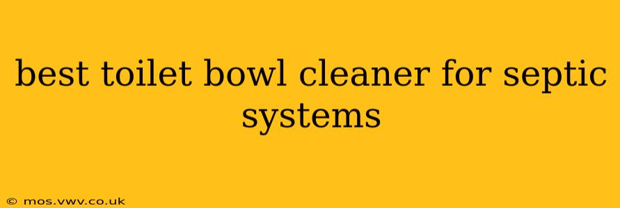 best toilet bowl cleaner for septic systems