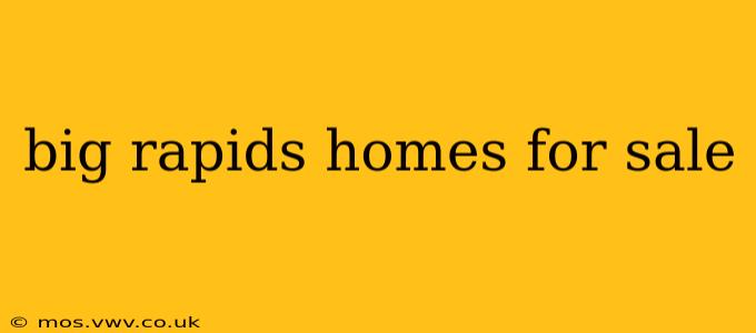 big rapids homes for sale
