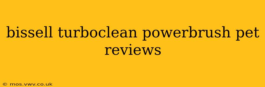 bissell turboclean powerbrush pet reviews