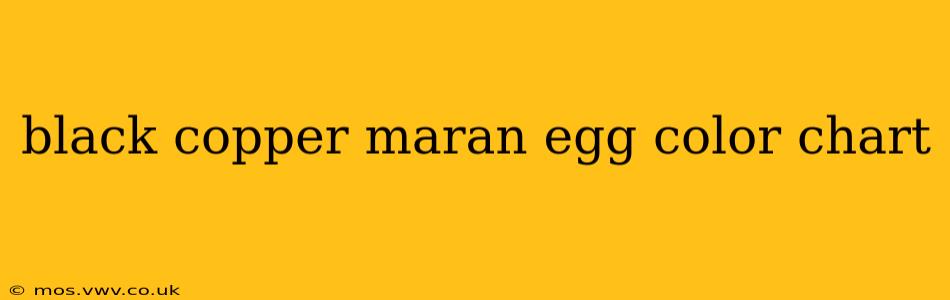 black copper maran egg color chart