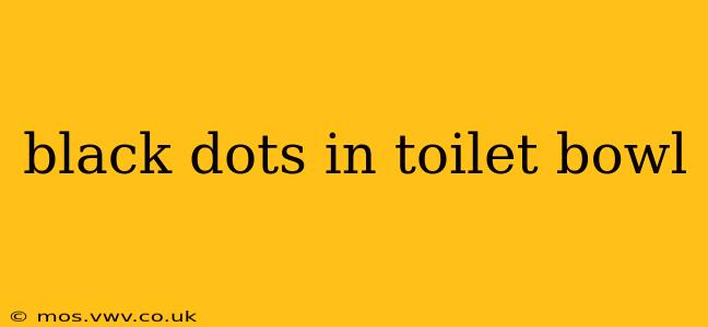 black dots in toilet bowl