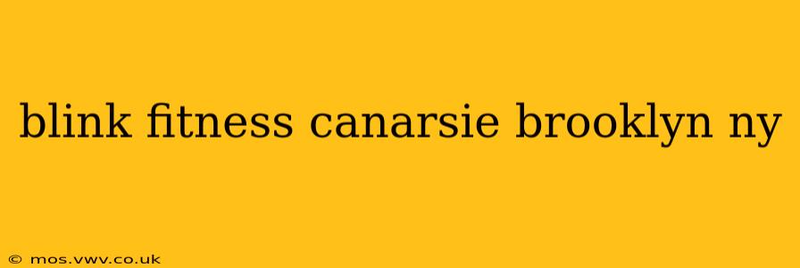 blink fitness canarsie brooklyn ny