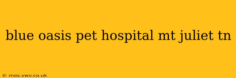 blue oasis pet hospital mt juliet tn