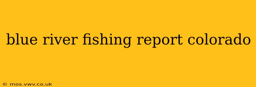 blue river fishing report colorado