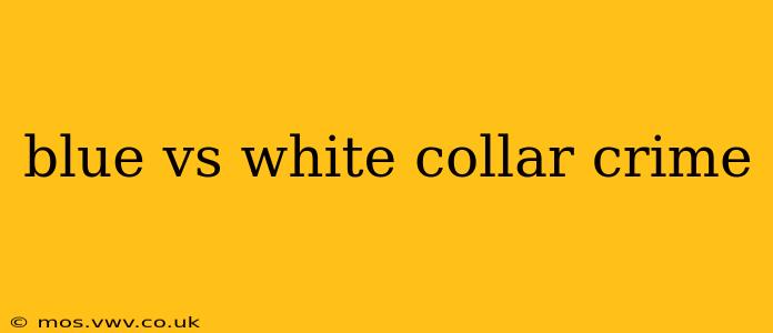 blue vs white collar crime
