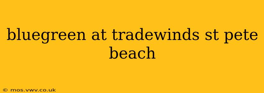 bluegreen at tradewinds st pete beach
