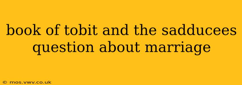 book of tobit and the sadducees question about marriage