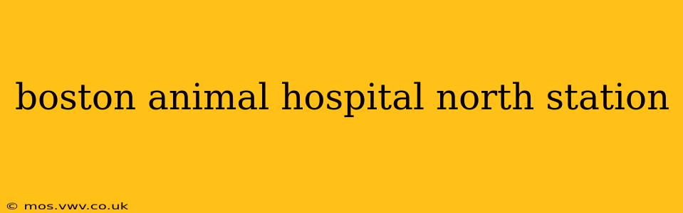 boston animal hospital north station