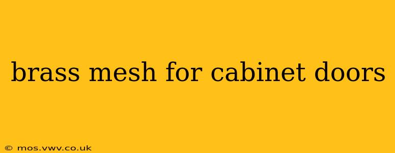 brass mesh for cabinet doors